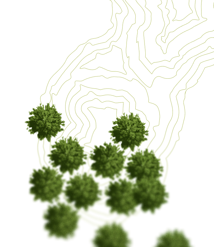 airforestry